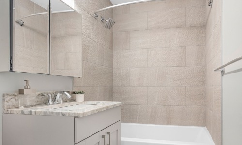 bathroom with mirror sink and shower